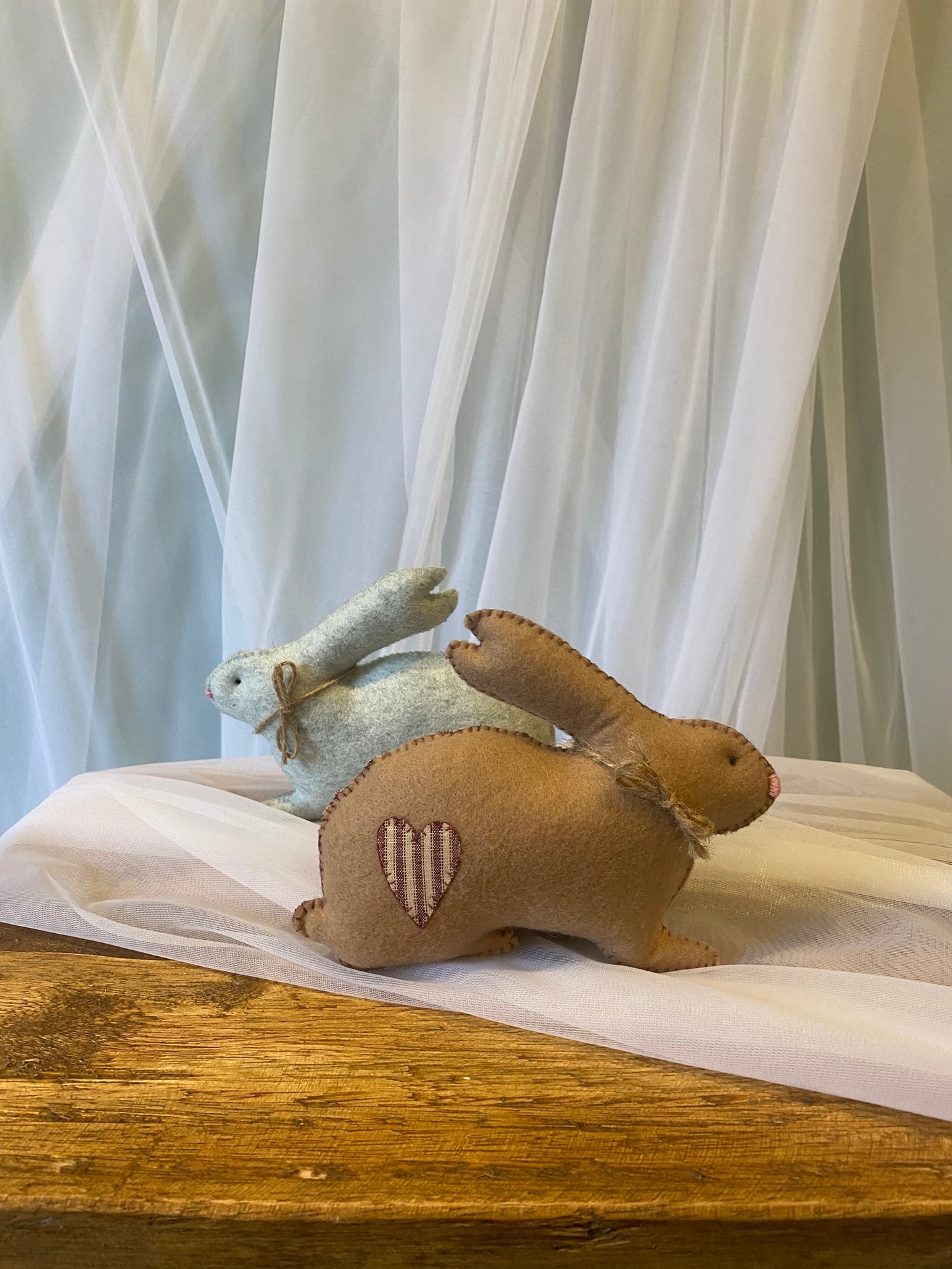 Bunny