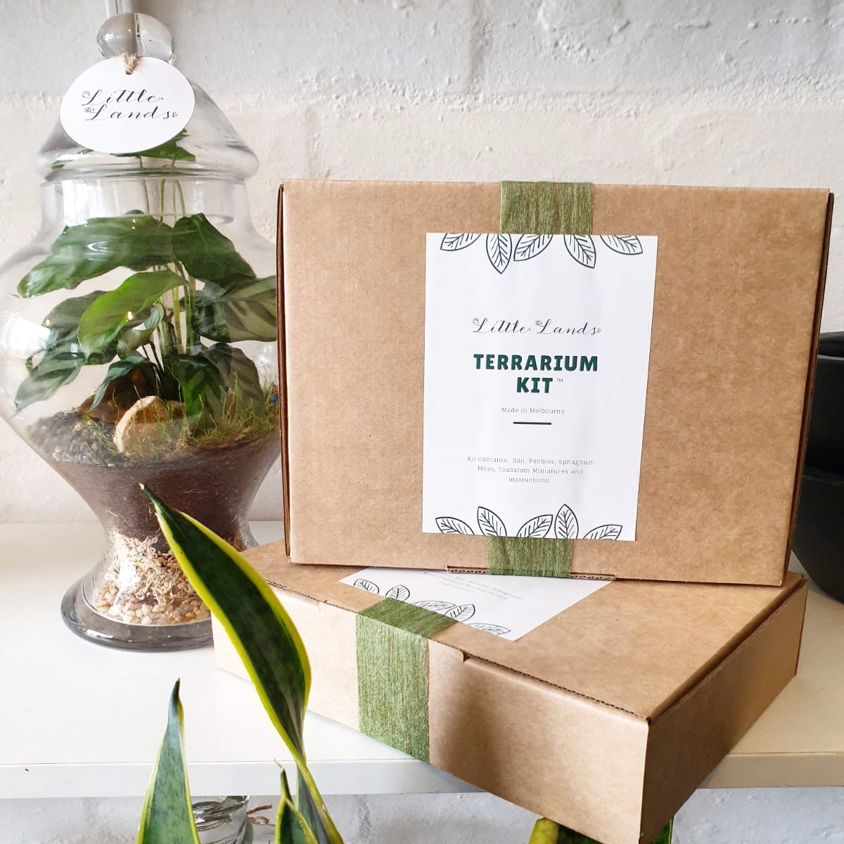 Little Lands - DIY Terrarium Kit