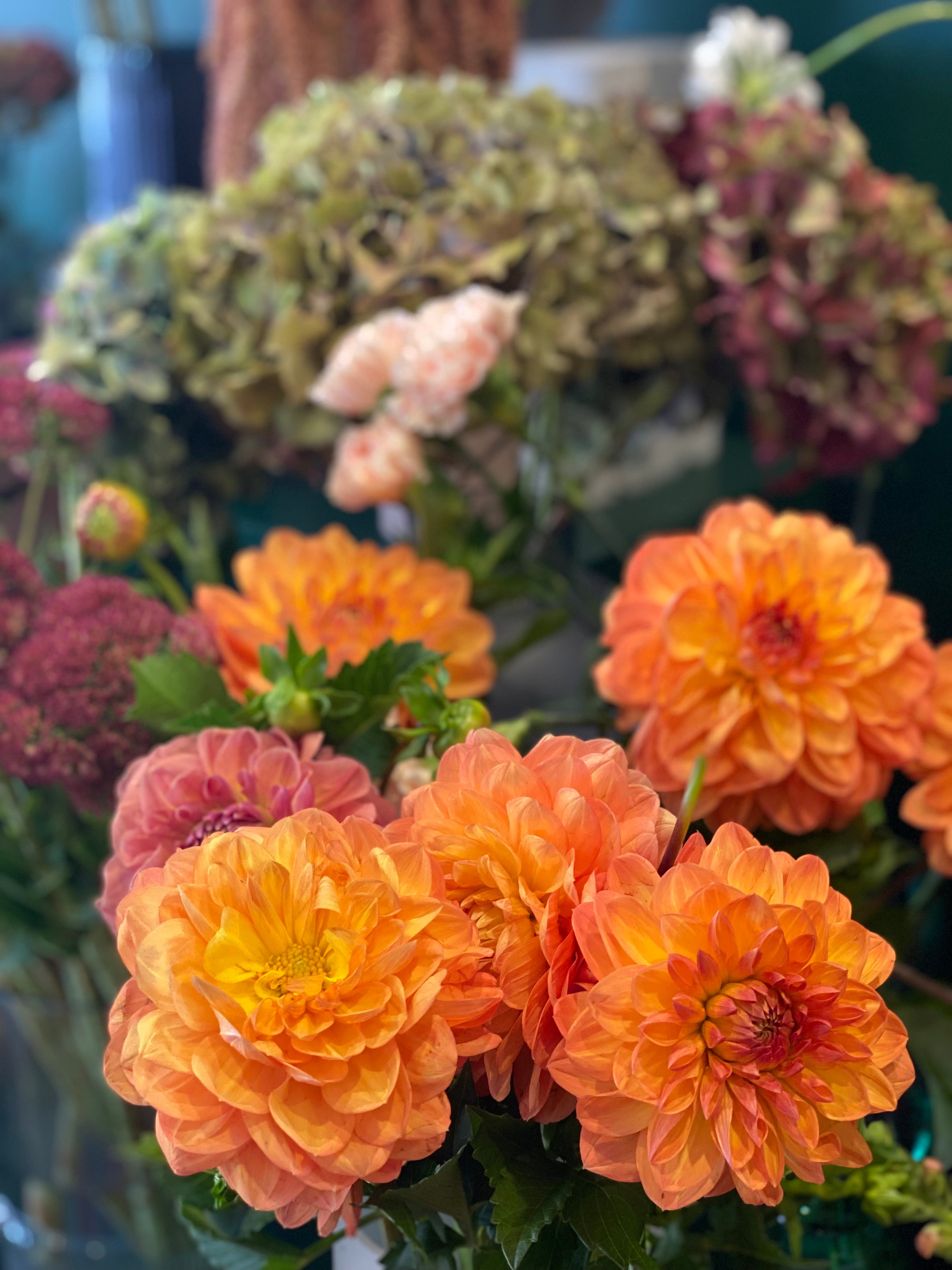 Sweet Caroline Floral Design