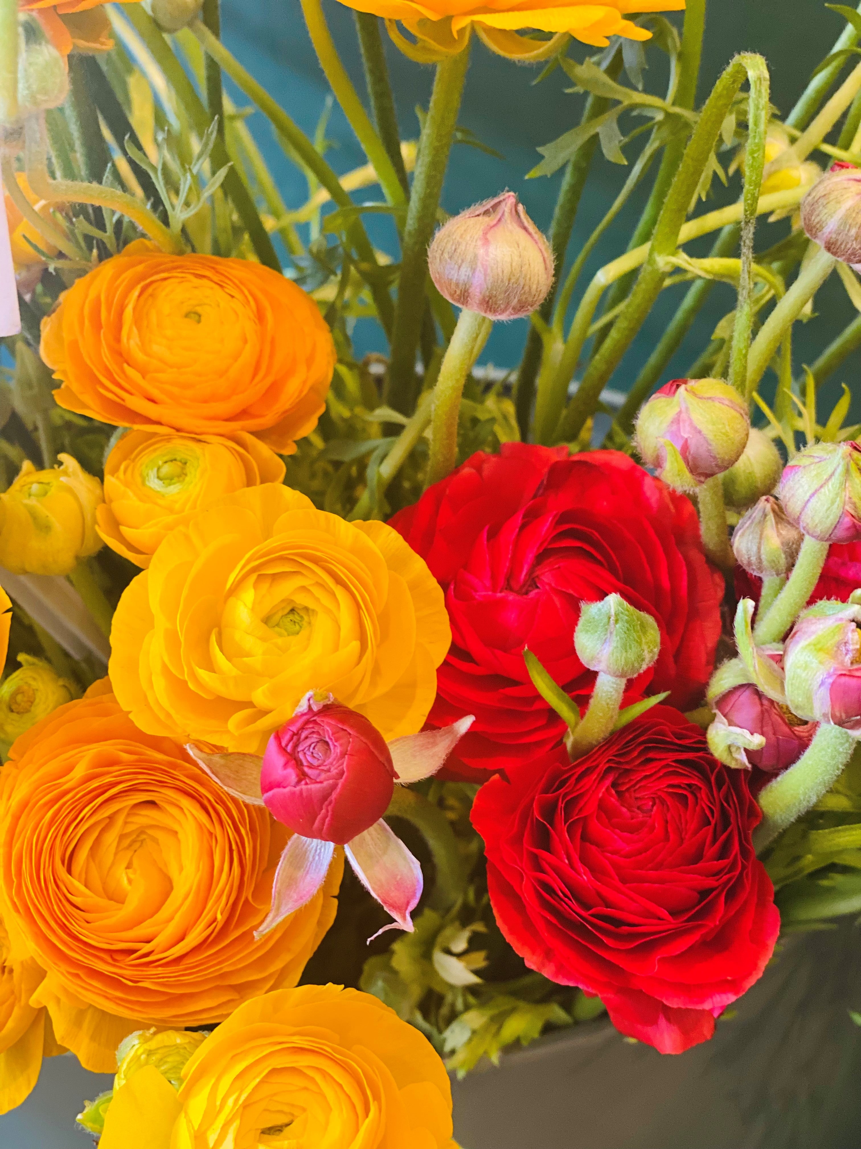 Sweet Caroline Floral Design